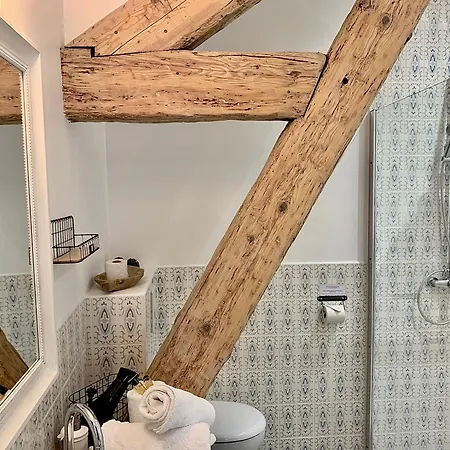萨维尔酒店 3* 吕奥姆